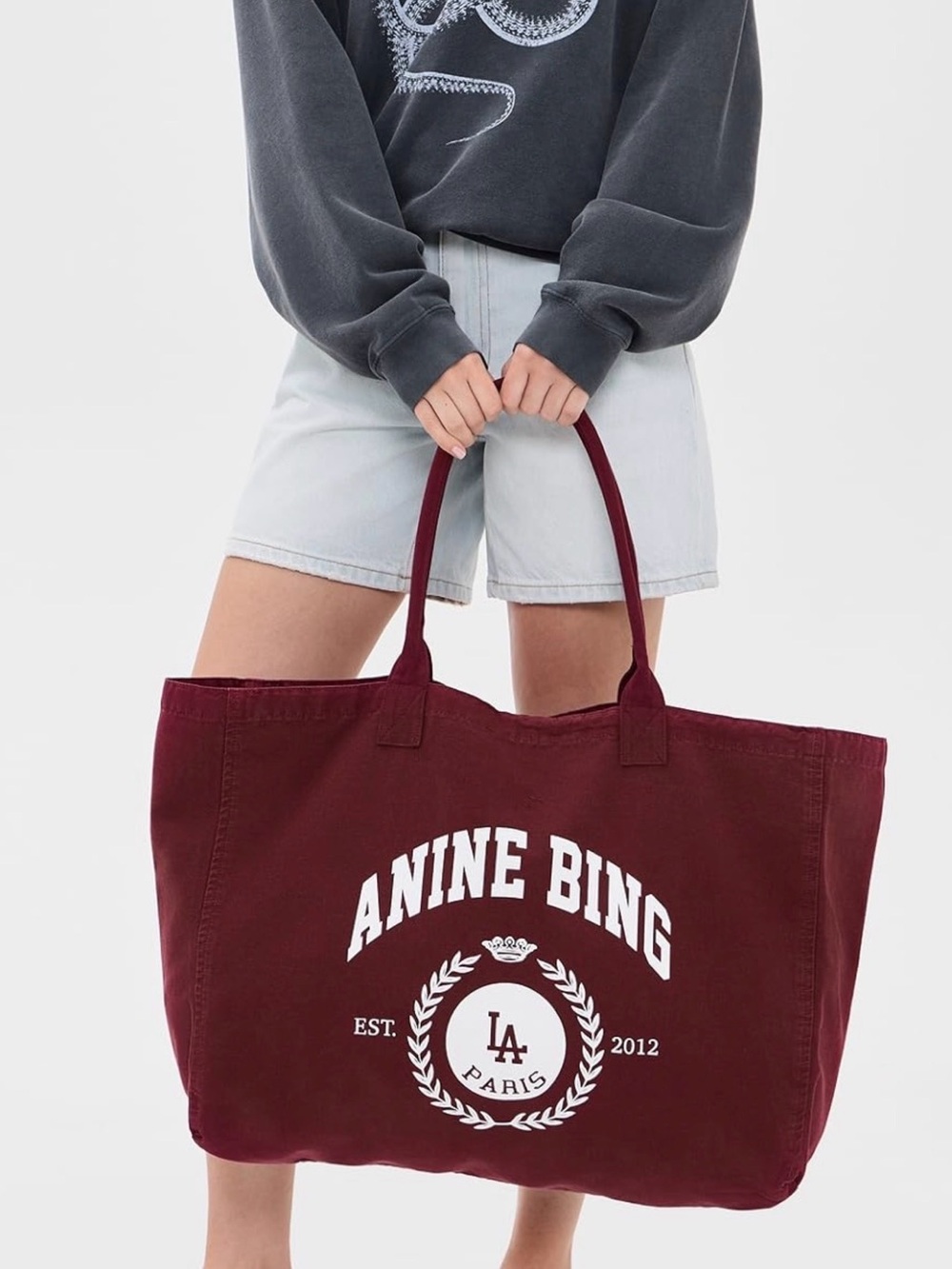 NEW Anine Bing Leo Canvas Collegiate Tote burgundy bag